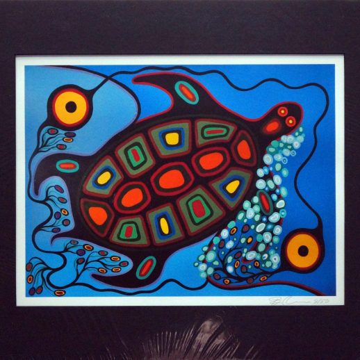 Reproductions - Turtle - Frank Polson