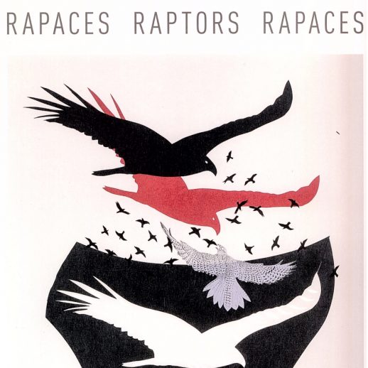 Rapaces raptors rapaces - René Derouin